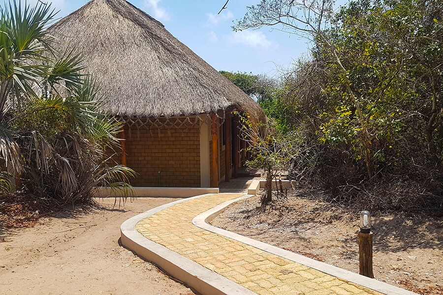 The pathways made using plastic and glass pavers. Image: Khursheed Dinshaw