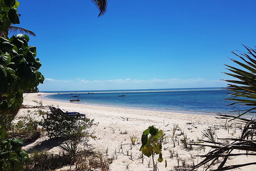 A clean beach of Benguerra Island. Image: Khursheed Dinshaw