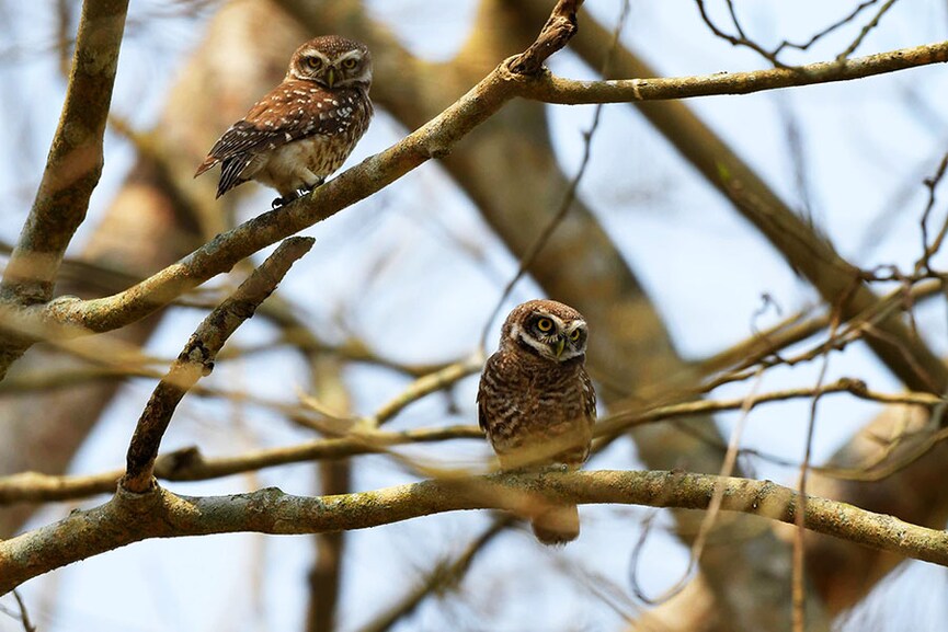 Image: Anuwar Hazarika/NurPhoto via Getty Images