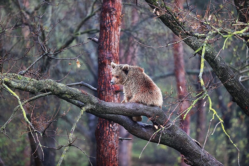 Image: Sergen Sezgin/Anadolu via Getty Images