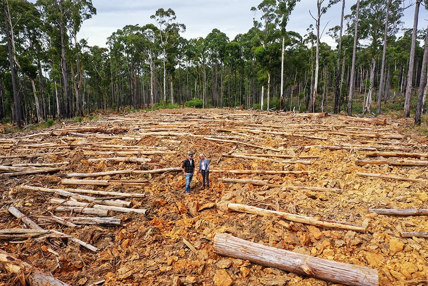 Image: Justin McManus / The Age via Getty Images