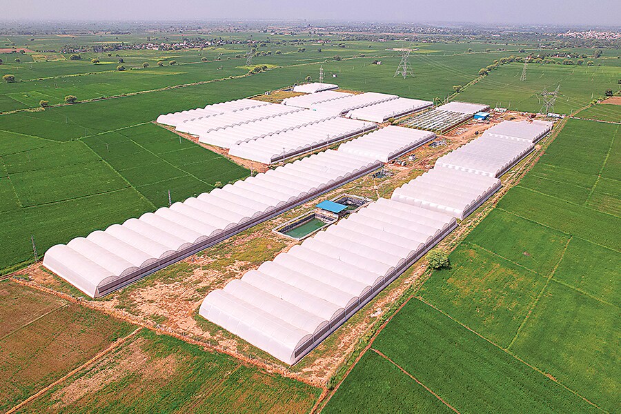 Eeki’s 15-acre farm in Rajasthan
