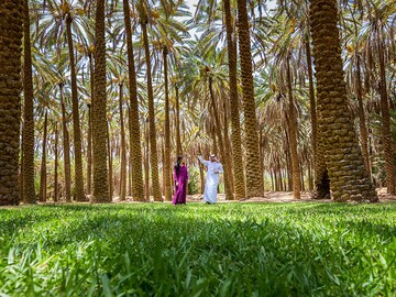 Travelling back in time, through the Incense Route, to Tayma