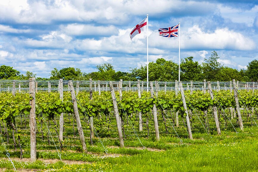 Swapping Bordeaux for Kent, climate change to shift wine regions: study