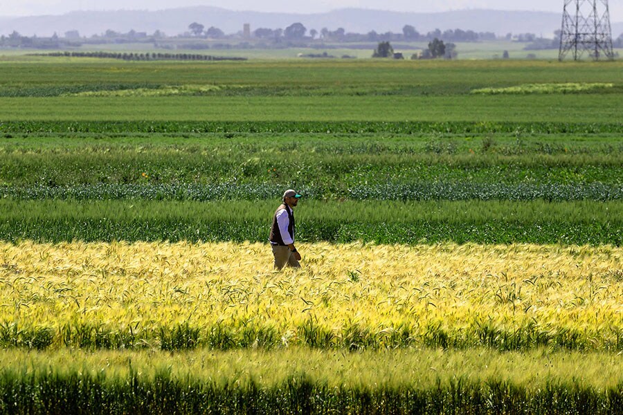 Morocco's farming revolution is defying drought with science