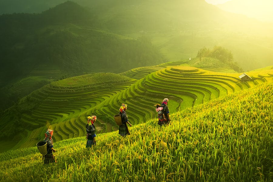 Sapa in Vietnam. Image credit: Getty Images