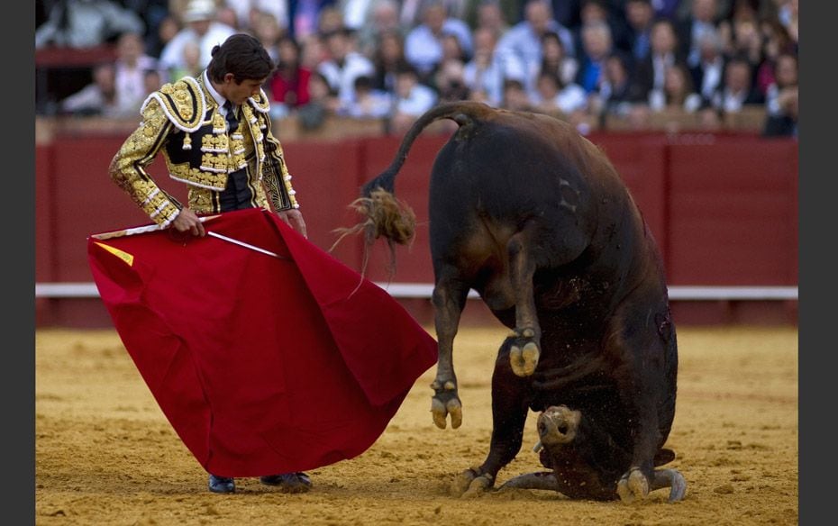 French matador Sebastian Castella performs a pass as the bull stabs his  horns into the arena, durin