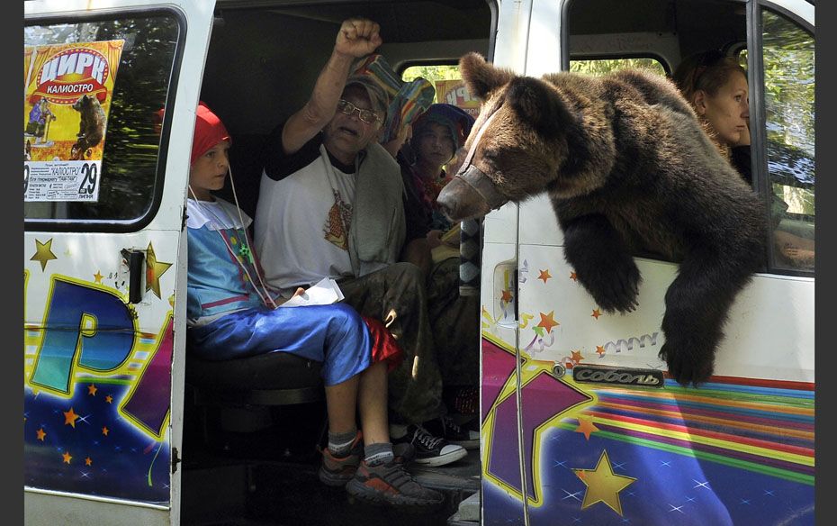 Performers of a mobile Ukrainian circus promote their show with the main attraction, a two-year-old 