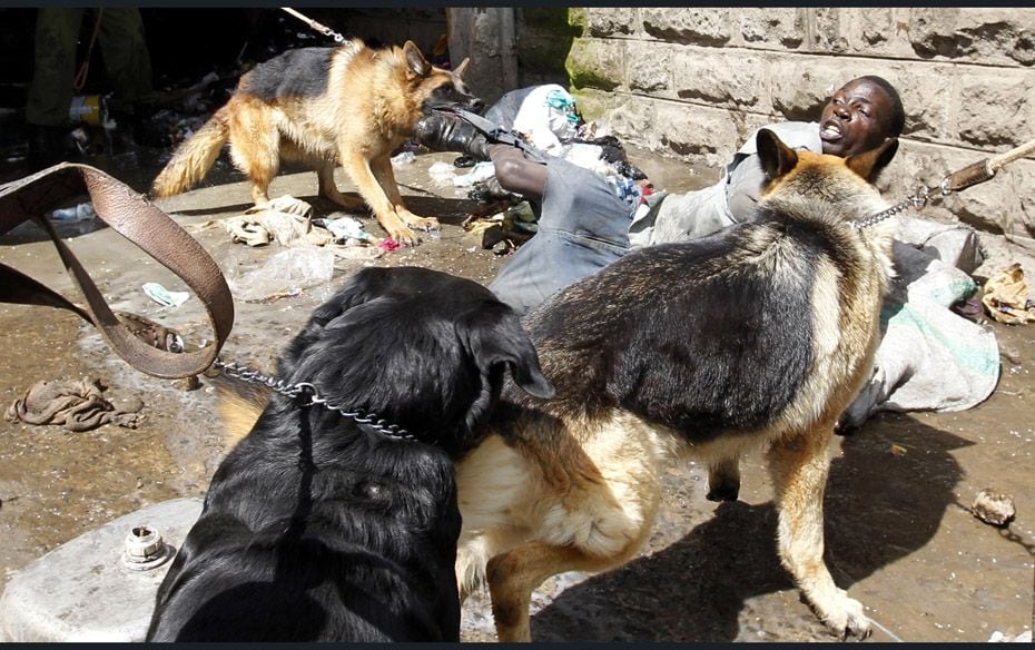 Police dogs attack a man found stealing from ethnic Somali homes during the second day of skirmishes