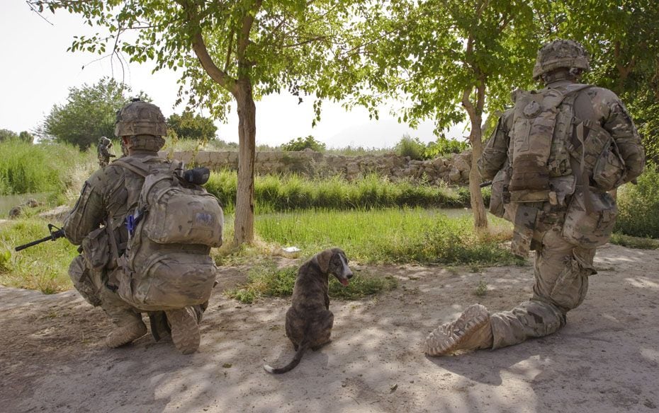 A puppy sits between US Army soldiers of 5-20 Infantry Regiment attached to 82nd Airborne Division, 