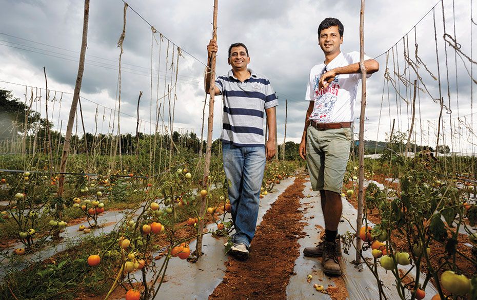 ZERO PESTICIDEFirstAgro’s KN Prasad (left) and Nameet MV ship pesticide-free vegetables to top