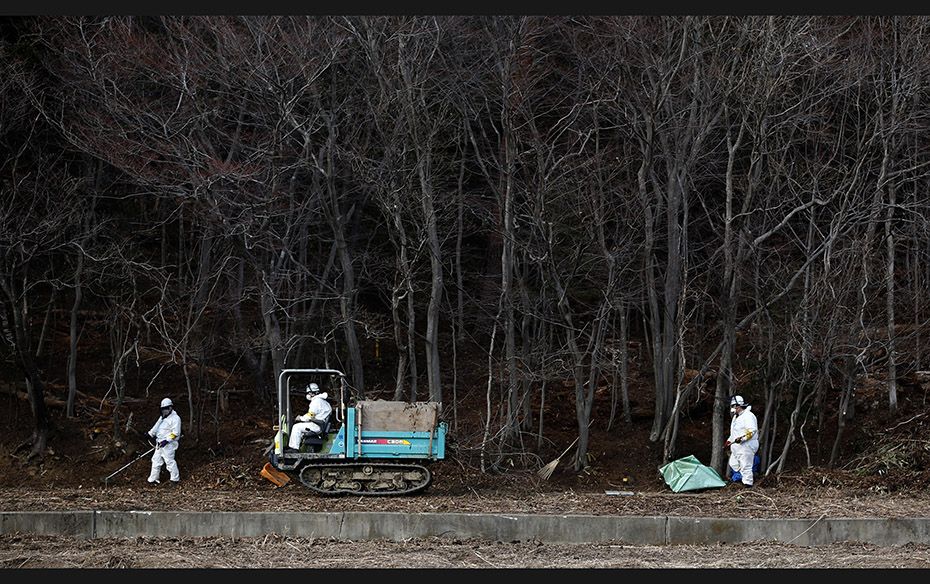 Workers remove radiated soil and leaves from a forest in Tomioka town, Fukushima prefecture, near To