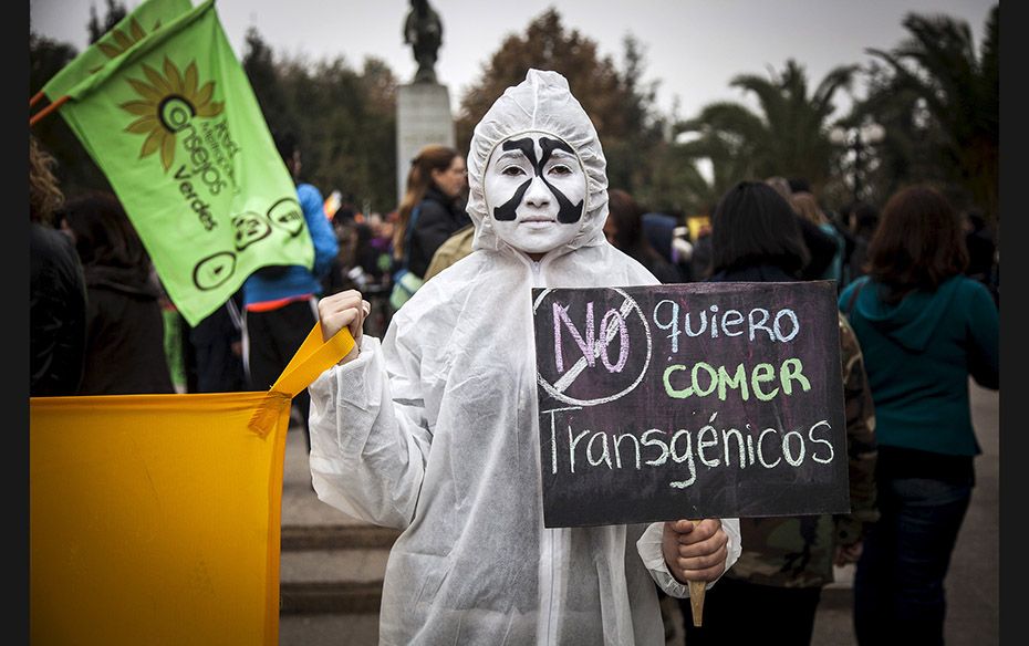 A demonstrator holds up a banner that reads, "I don’t want to eat transgenics" durin