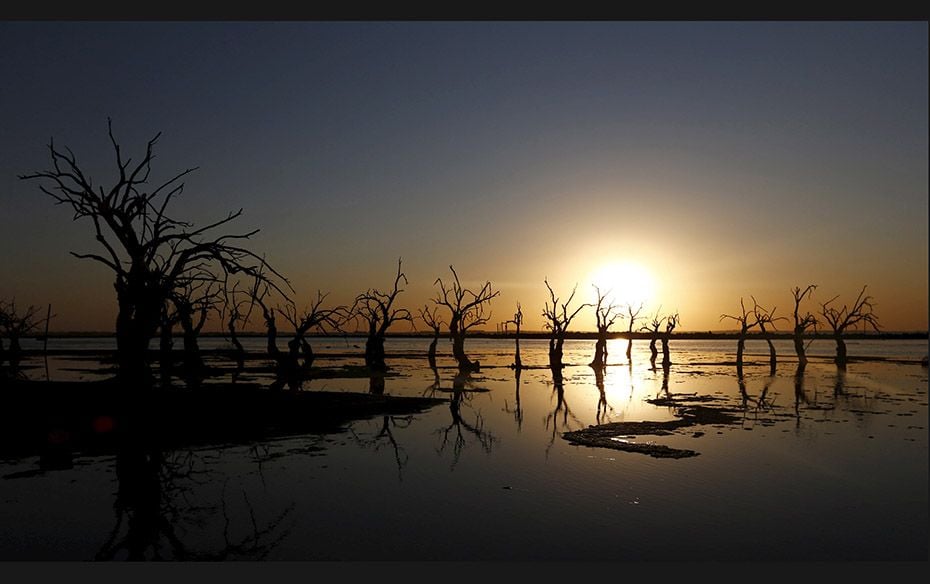 Deadwood is seen at sunset in Epecuen Village, southwest of Buenos Aires, on November 6. Over the pa