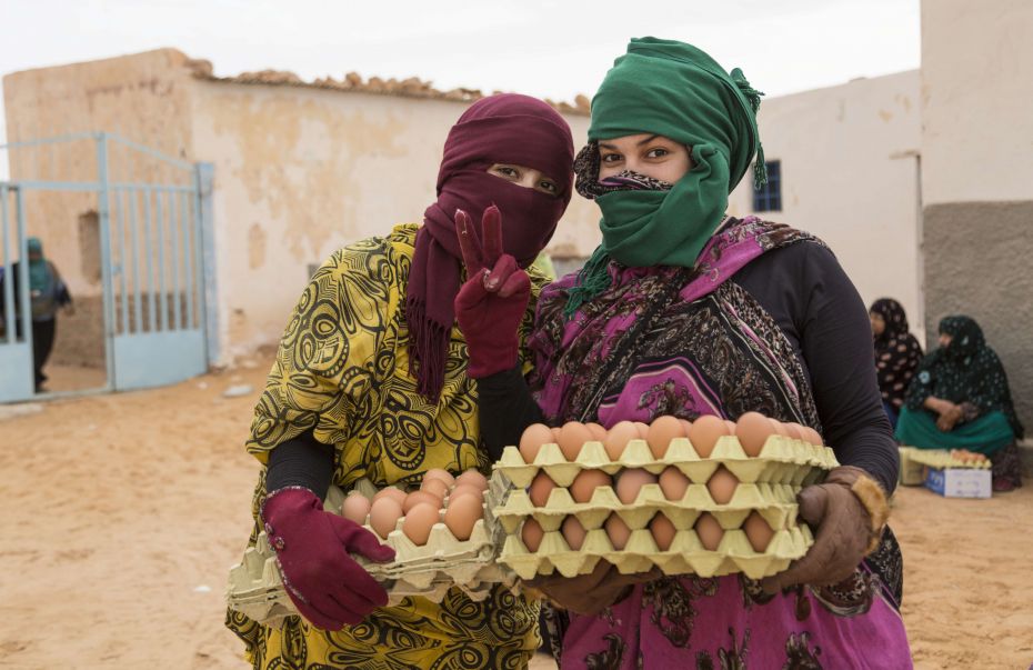 Name of photo: Collecting Egg RationsDescription: Every two weeks, in the refugee camps near Tindouf