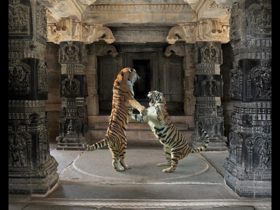 Palaiyakkaras, Hazararama Temple, Hampi                                                        