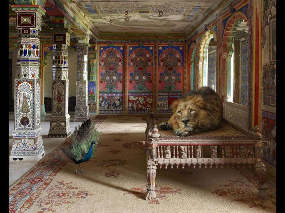 The Lovesick Prince, Aam Khas, Junha Mahal, Dungarpur Palace, Dungarpur                        