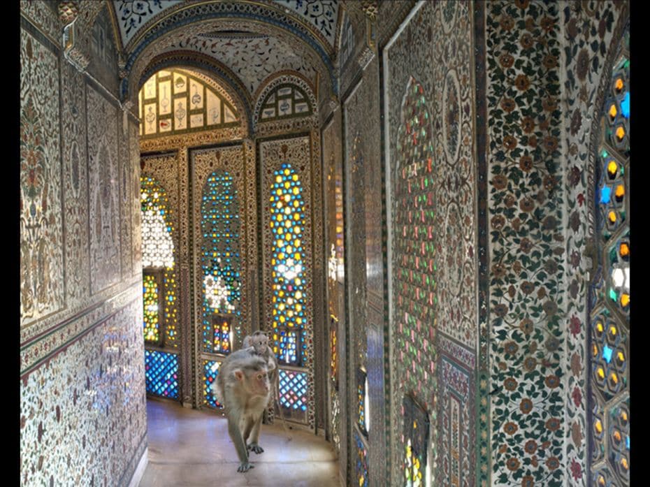 Asylum, Junagarh Fort, Bikaner - Corridor                                                           