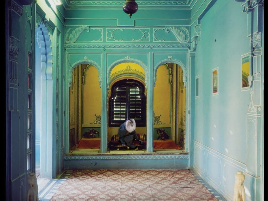 Solitude of the Soul, Udaipur City Palace, Udaipur                                                  