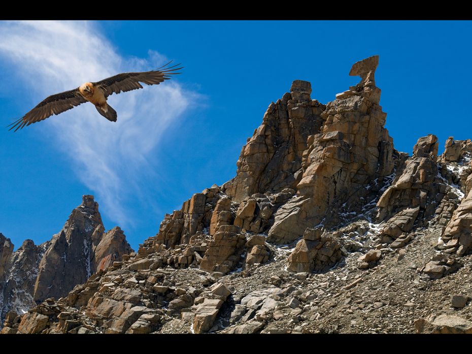 An eagle soars from a craggy outcrop called the Axe of Karma, an emblem of the King of Death