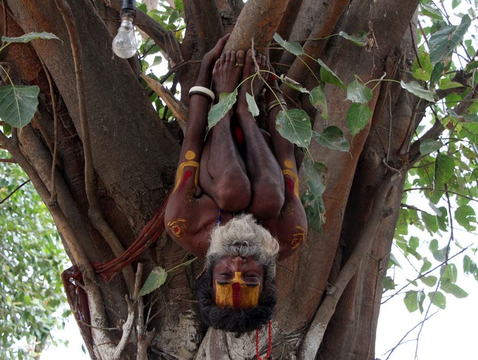 A sadhu performs yoga on a branch of a tree in Allahabad. In ancient times, yoga was referred to as 