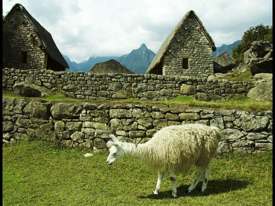 PERU - THE COMMUNITY INCA TREKChoose this unique and pioneering trekking route to Machu Picchu and y