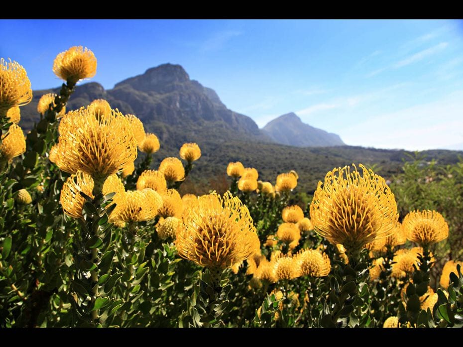 THE OTTER TRAIL. SOUTH AFRICABe warned, the trail is popular but protected, so the limited places mu