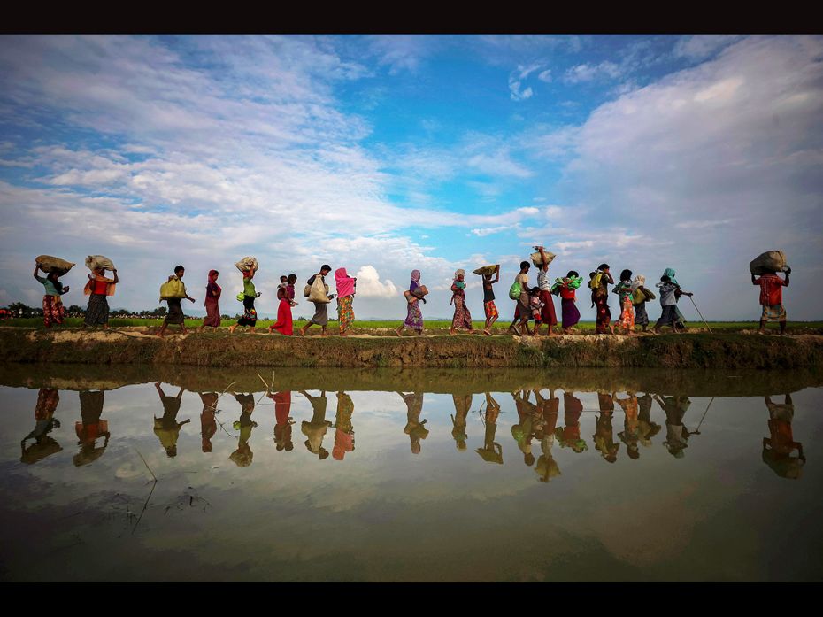 Rohingya refugees are reflected in rain water along an embankment next to paddy fields after fleeing