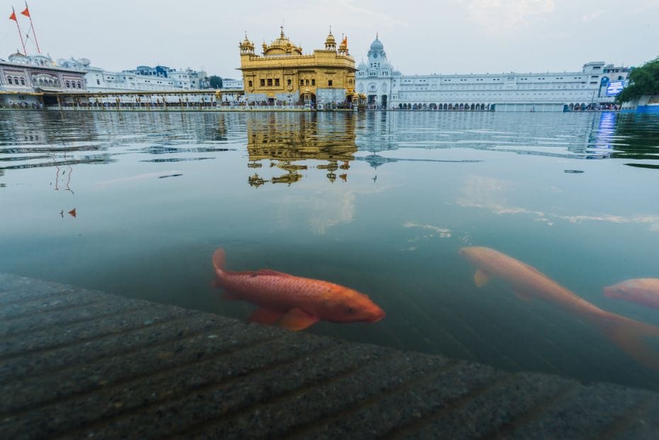 Golden Temple, Amritsar, IndiaAmidst the bustling noisy streets of Amritsar stands an oasis of egali