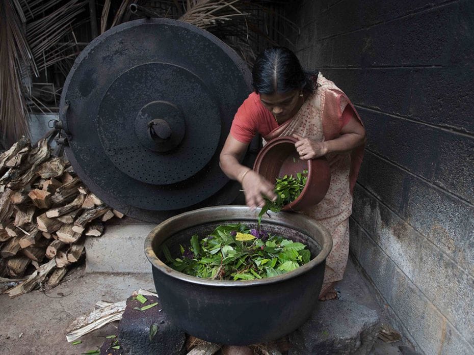 The powder is mixed with freshly plucked medicinal leaves, spices, roots and water                  