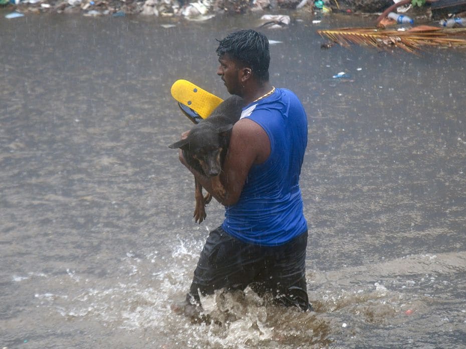 A man carries a dog through a waterlogged road through Andheri Subway, on June 28. The monsoon made 