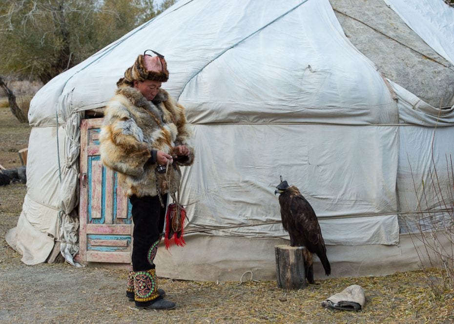 MongoliaA Kazakh eagle hunter with his golden eagle at a ger, a portable dwelling near the city of &