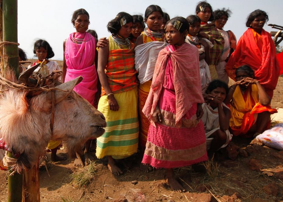 IndiaMembers of the Dongria Kondh tribe with the head of a goat that they sacrificed on top of the N