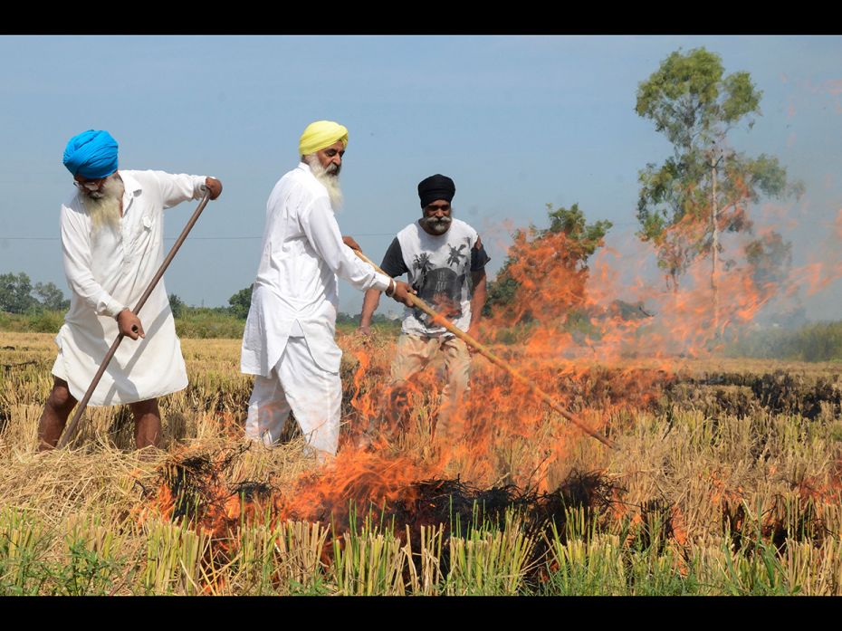 AMRITSAR, OCTOBER 20: Farmers burn straw stubble after harvesting paddy crops in a field on the outs