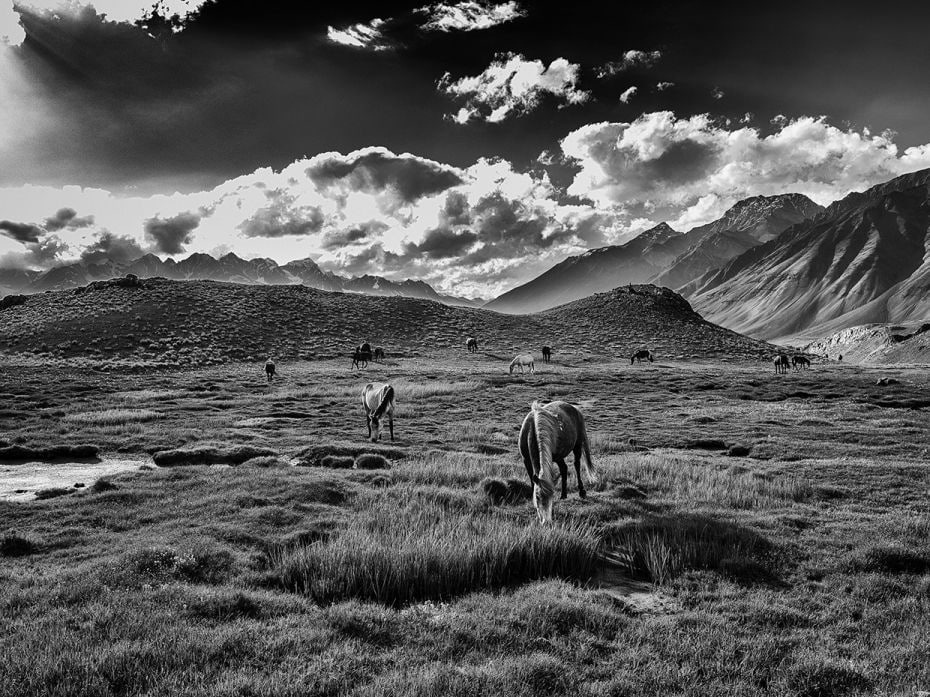 Grazing: To Chandratal Lake
“If you can imagine it, 
you can do it,” 
the s