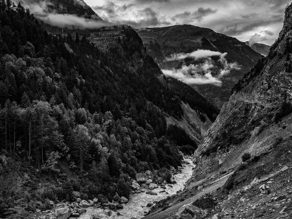 Rooted: Sangla Valley, Sutlej River
The quietest and surest thing
is the tree planted by the river