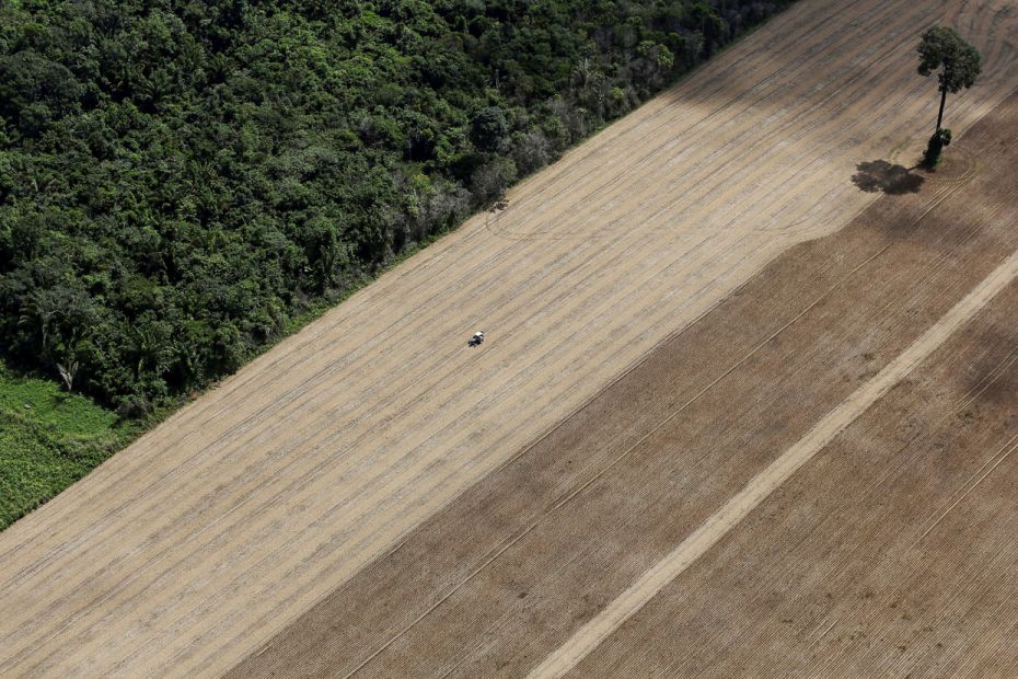 
A wheat plantation that used to be virgin Amazon rainforest near Santarem, Brazil. April 20, 2013
