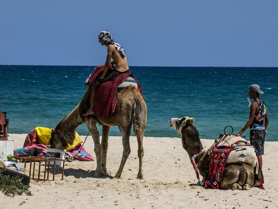 HAMMAMET, TUNISIA - JUNE 2: People take camel rides at a beach as Tunisia lifts more coronavirus (Co