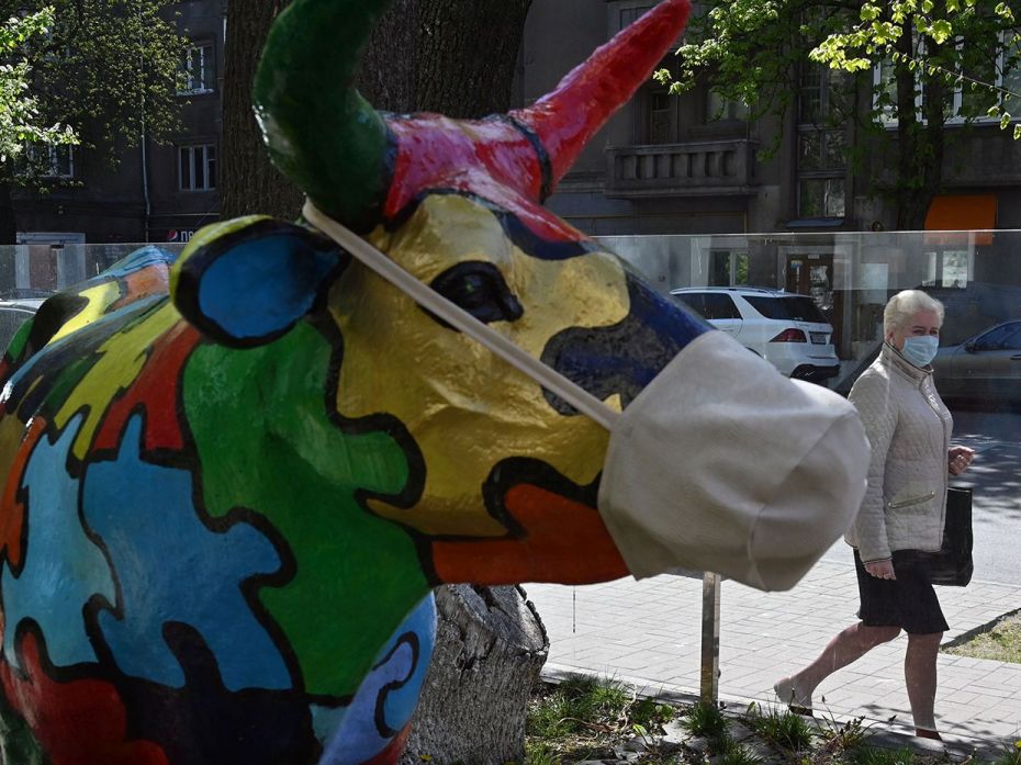 A woman wearing a face mask walks past a decorative cow figure, also masked, in the center of the Uk