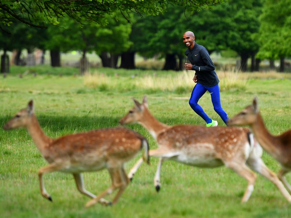 With gyms shut in London, long distance runner Mo Farah competes with a gang of deer as part of his 