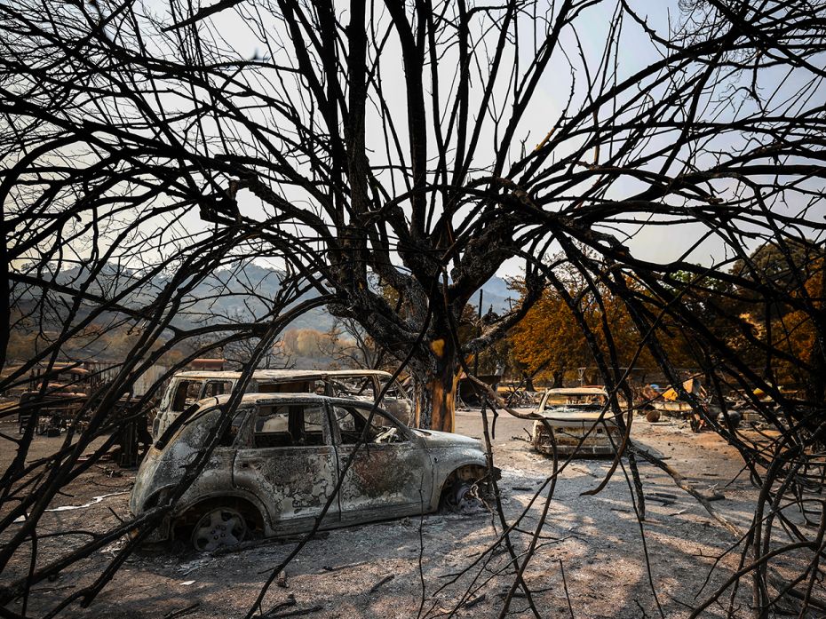 VACAVILLE, CALIFORNIA - AUGUST 24: Burned cars sit under the skeleton of  a tree after the LNU Light