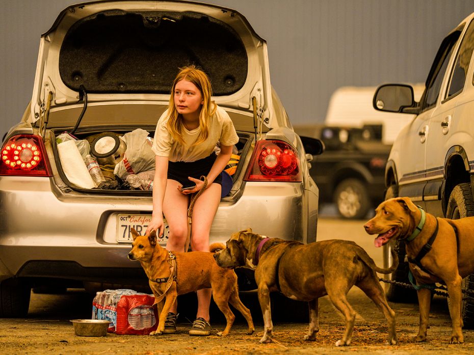 SHAVER LAKE, CA - SEPTEMBER 07: Kelsey Mueller, 16, pets Ruby while  waiting with her family to be e