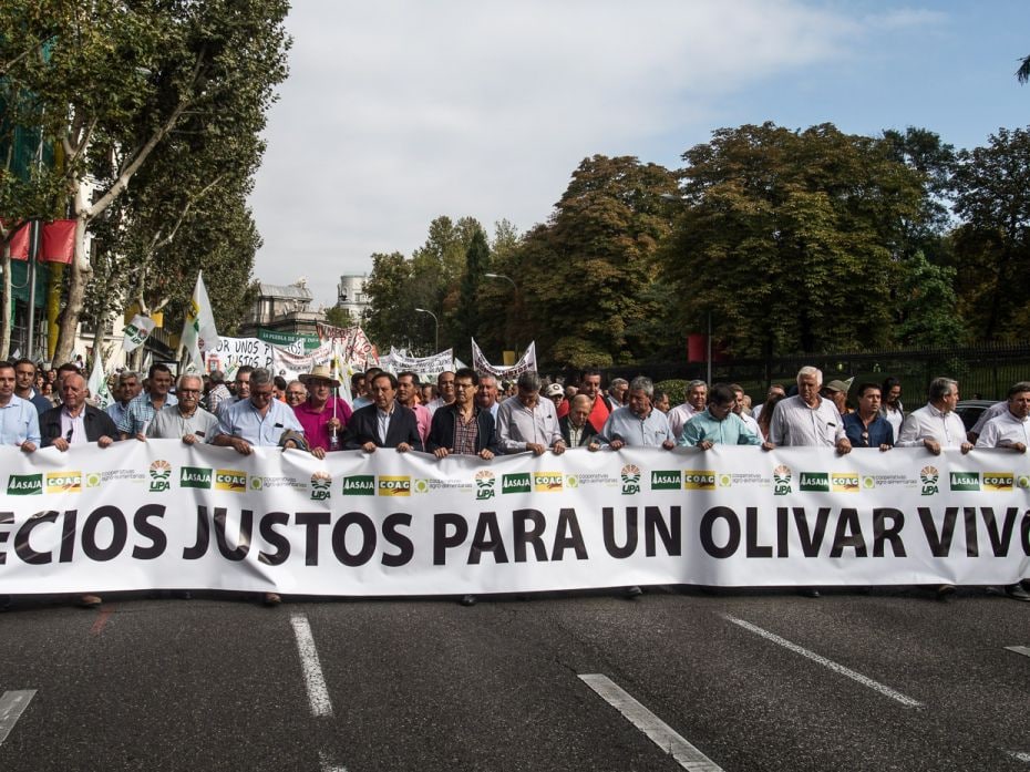 SPAIN, 2019
Olive oil producers marched to the Agriculture Ministry in Madrid, Spain on October 10,