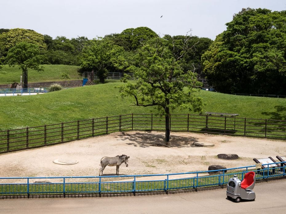 TRIP TO THE ZOO, JAPAN 
A RakuRo autonomous self-driving robot developed by ZMP Inc moves past