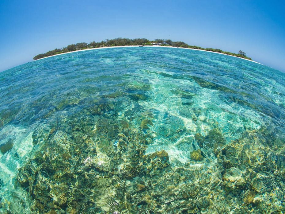 A fisheye view of the Great Barrier Reef Marine Park, AustraliaThe earliest known photosynthesising 