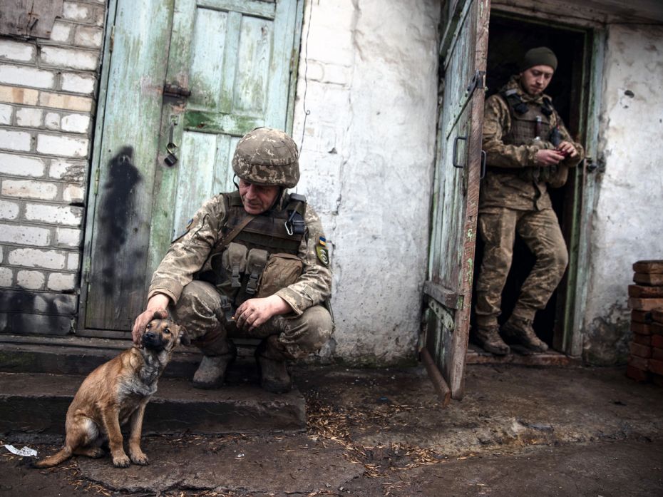 Ukrainian soldiers take a moment to pet a stray dog on Wednesday, February 23, 2022, in Zaitseve, in