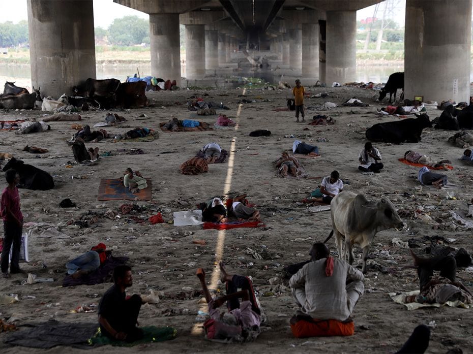 People and cattle take refuge under a bridge at the Yamuna River bed on a hot summer day in New Delh