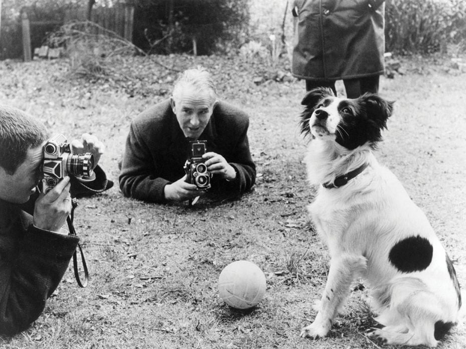 1966Sniffing the CupIn early March of 1966, three months before the World Cup kick-off, The Jules Ri