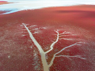 Salzburg cultural festival, World Aquatics Championships, shopping in Rennes: Eye-catching photos of this week