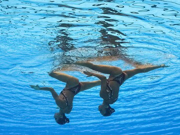 MSG Sphere, World Aquatics Championships, sparring with sumo: Eye-catching photos of this week